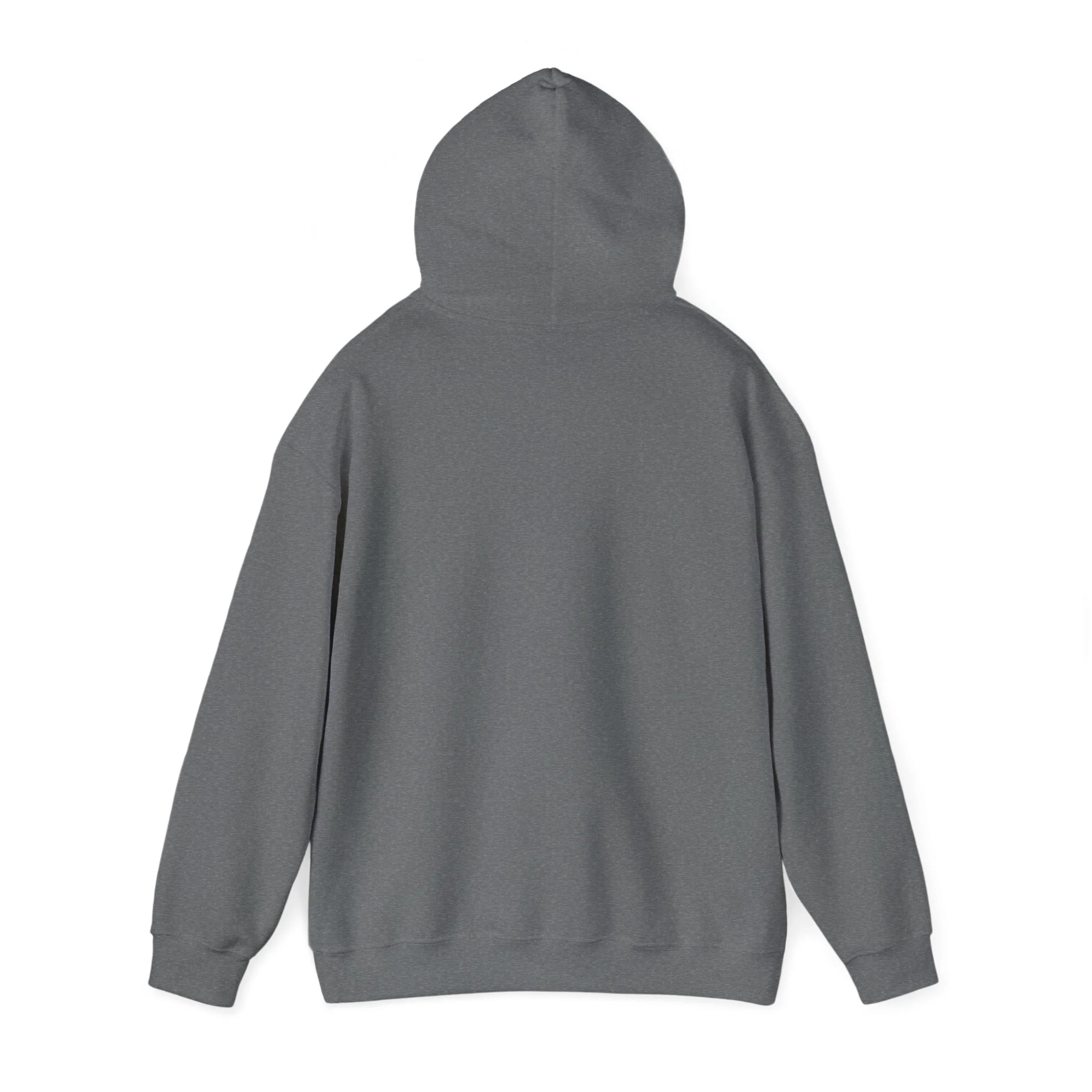 Luke 1:45 Heavy Blend™ Hooded Sweatshirt - Image 24